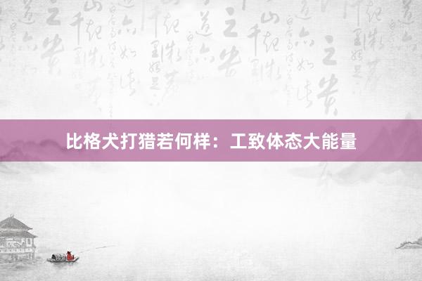 比格犬打猎若何样：工致体态大能量